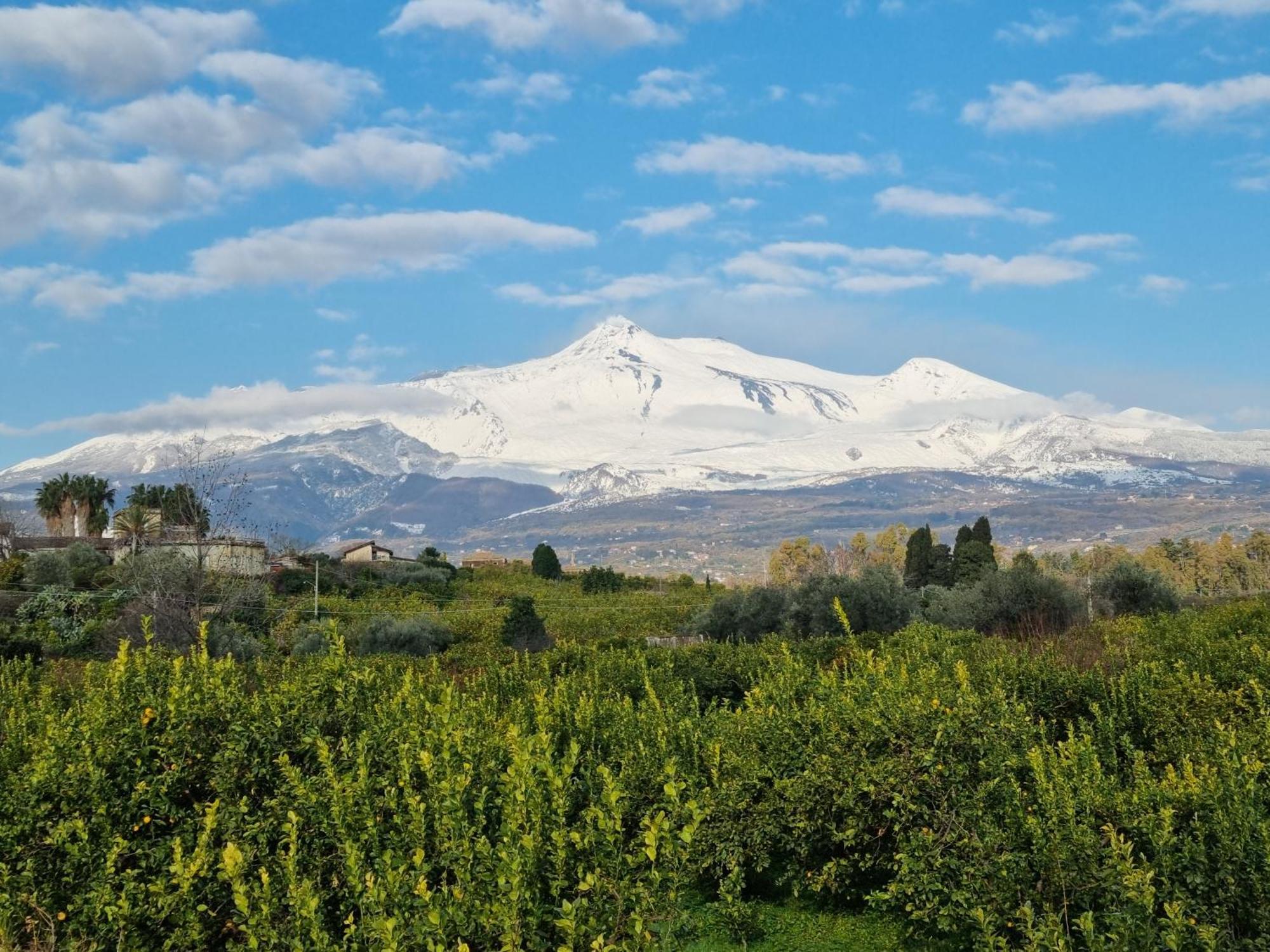 Luxury Relaxing Home With Heated Pool Near Catania, Taormina, The Sea And Mount Etna Giarre Εξωτερικό φωτογραφία